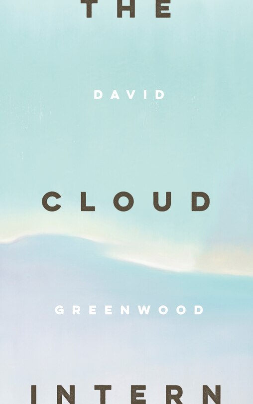 Front cover_The Cloud Intern