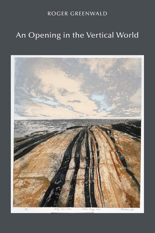 Front cover_An Opening in the Vertical World