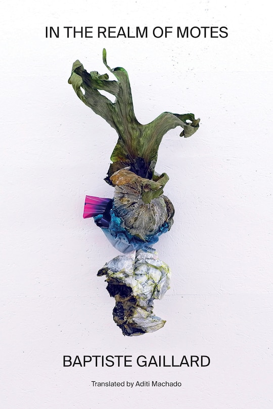 Couverture_In the Realm of Motes