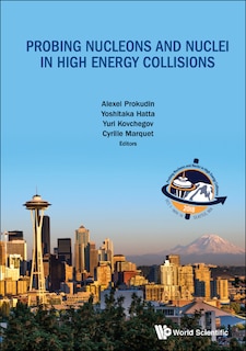 Front cover_Probing Nucleons And Nuclei In High Energy Collisions - Proceedings Of The Int Program Int-18-3
