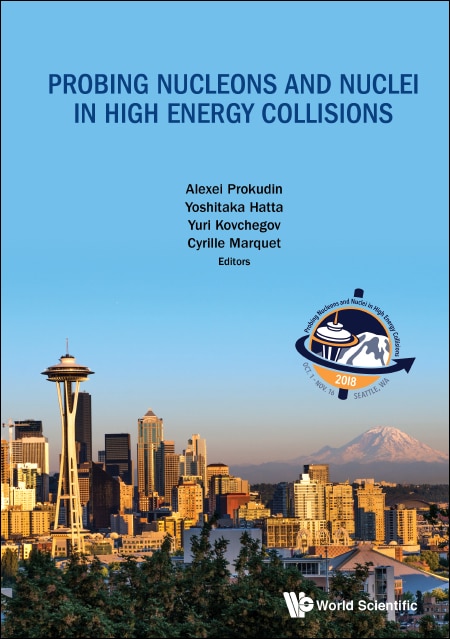 Front cover_Probing Nucleons And Nuclei In High Energy Collisions - Proceedings Of The Int Program Int-18-3
