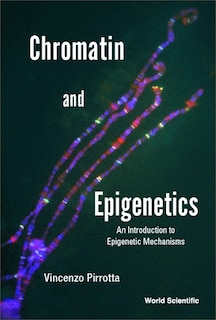 Couverture_Chromatin And Epigenetics