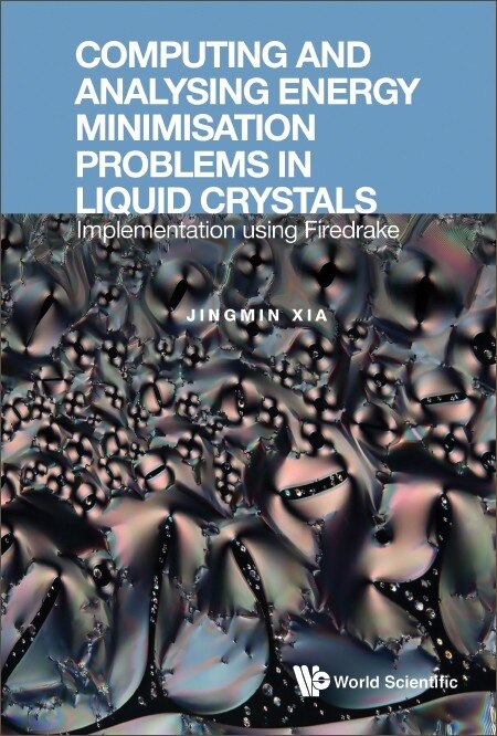 Couverture_Computing And Analysing Energy Minimisation Problems In Liquid Crystals