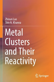 Couverture_Metal Clusters And Their Reactivity