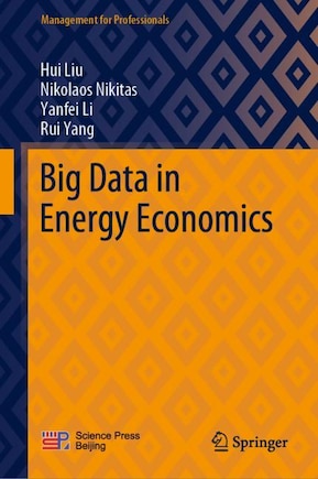 Big Data In Energy Economics