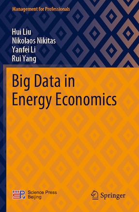 Big Data in Energy Economics