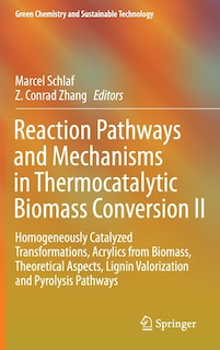 Couverture_Reaction Pathways and Mechanisms in Thermocatalytic Biomass Conversion II