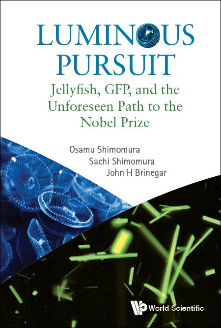 Front cover_Luminous Pursuit