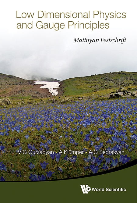 Couverture_Low Dimensional Physics And Gauge Principles