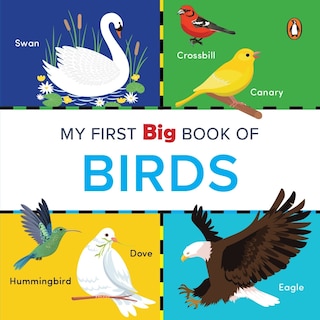 Front cover_My First Big Book of Birds