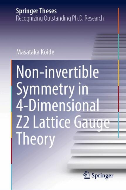 Front cover_Non-invertible Symmetry in 4-Dimensional Z2 Lattice Gauge Theory