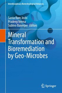 Couverture_Mineral Transformation and Bioremediation by Geo-Microbes