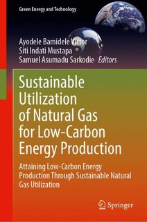 Couverture_Sustainable Utilization of Natural Gas for Low-Carbon Energy Production