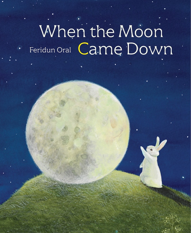 Front cover_When The Moon Came Down