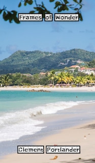 Front cover_Frames of Wonder