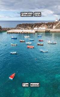 Couverture_Finding Joy