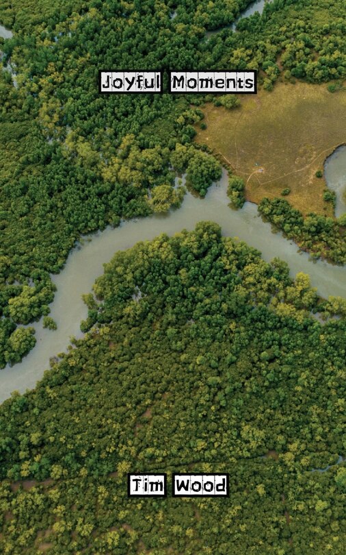 Front cover_Joyful Moments