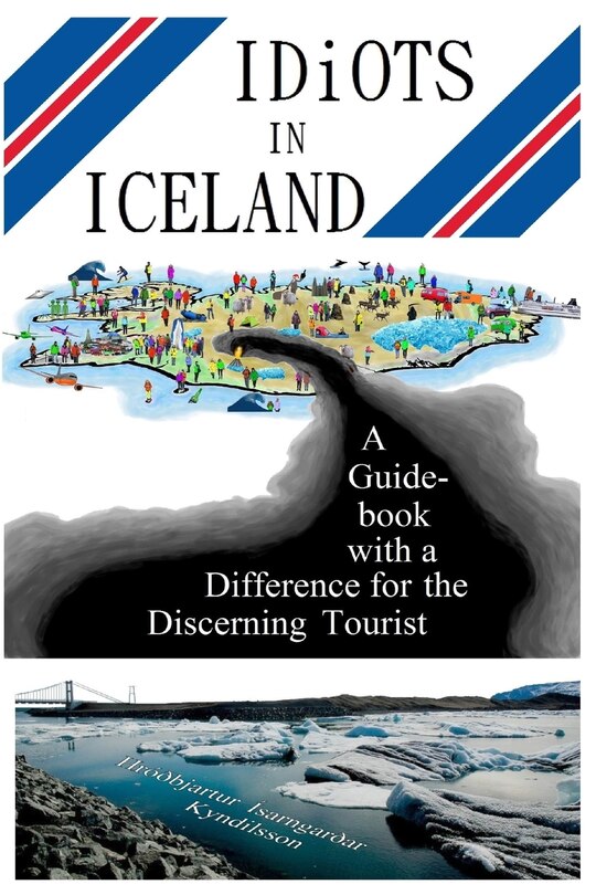 Front cover_Idiots in Iceland