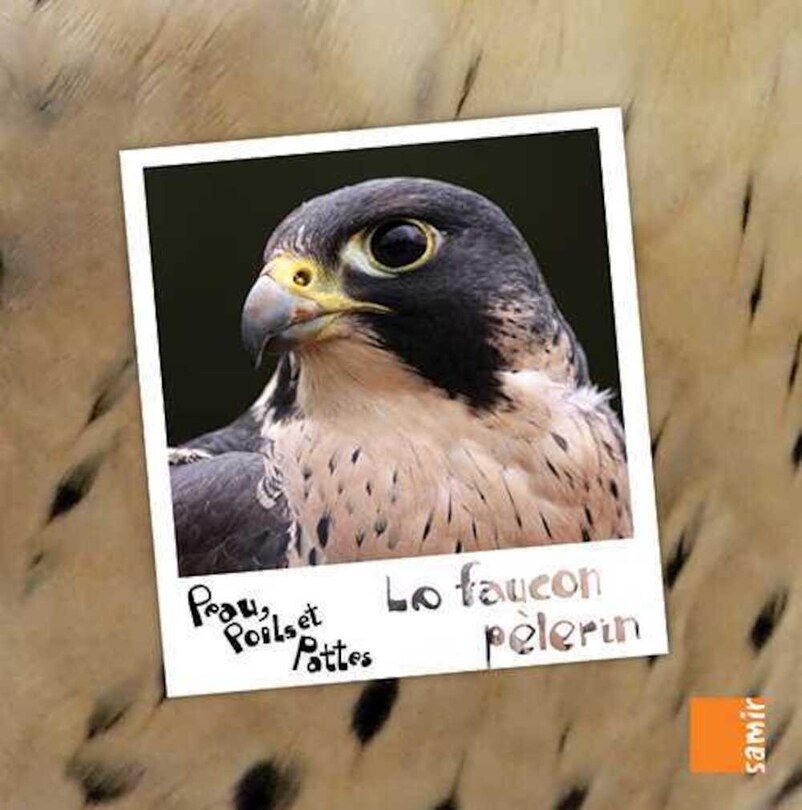 Couverture_Le faucon pèlerin