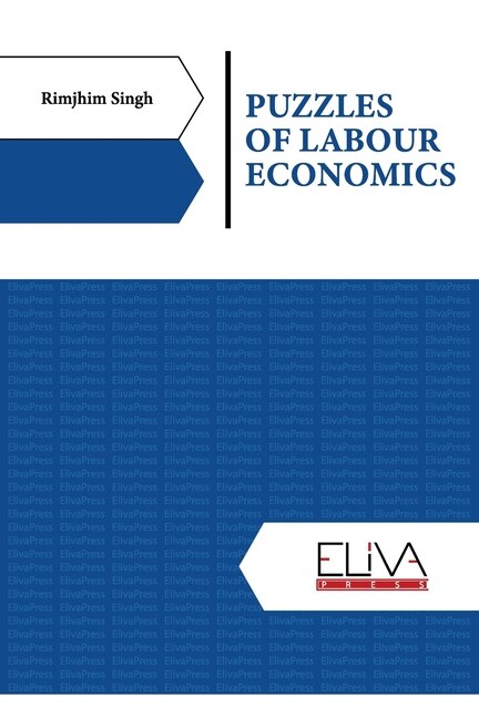 Front cover_Puzzles of Labour Economics