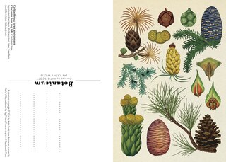 Sample content 2_Botanicum Postcard Box Set