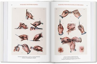 Sample content_Bourgery: Atlas Of Human Anatomy And Surgery