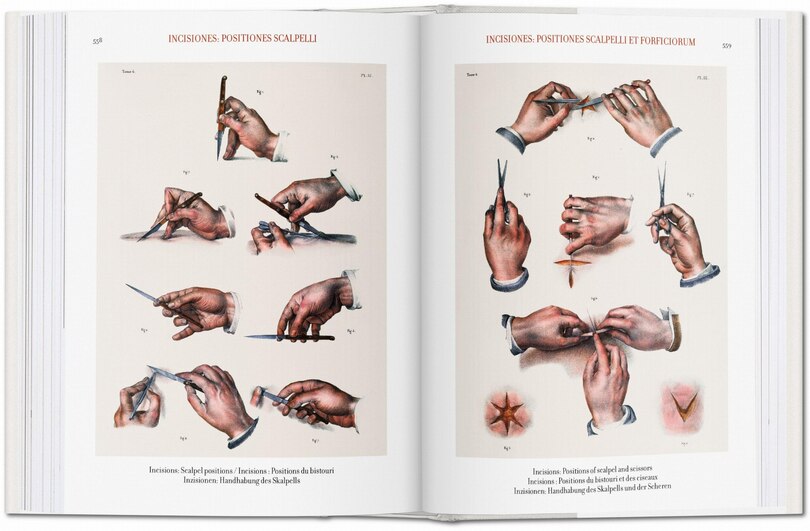 Sample content_Bourgery: Atlas Of Human Anatomy And Surgery