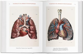 Sample content 2_Bourgery: Atlas Of Human Anatomy And Surgery