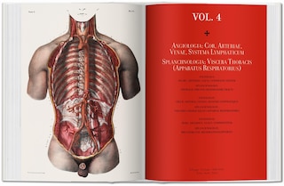 Sample content 3_Bourgery: Atlas Of Human Anatomy And Surgery