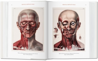 Sample content 4_Bourgery: Atlas Of Human Anatomy And Surgery