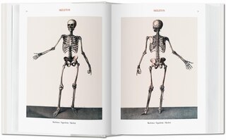 Sample content 5_Bourgery: Atlas Of Human Anatomy And Surgery