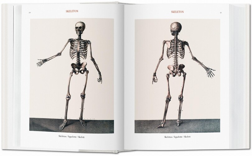 Sample content 5_Bourgery: Atlas Of Human Anatomy And Surgery