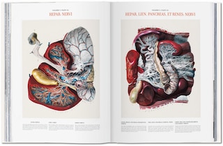 Sample content_Bourgery. Atlas Of Human Anatomy And Surgery