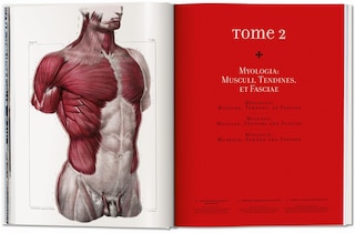 Sample content 5_Bourgery. Atlas Of Human Anatomy And Surgery