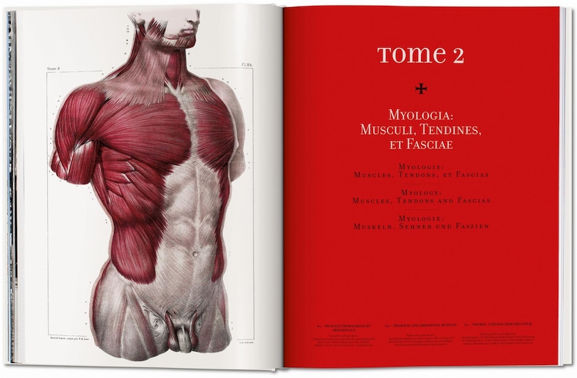 Sample content 5_Bourgery. Atlas Of Human Anatomy And Surgery