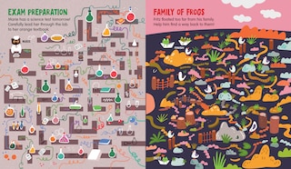 Sample content 3_Brain-Bending Mazes