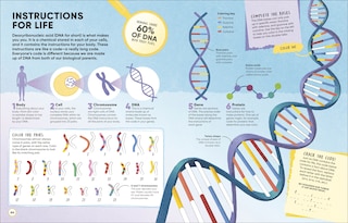 Aper&ccedil;u du contenu 2_Brain Booster Human Body