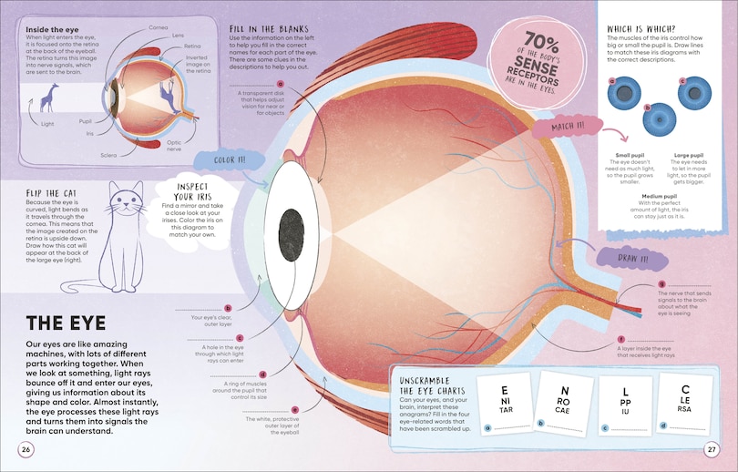 Aper&ccedil;u du contenu 4_Brain Booster Human Body