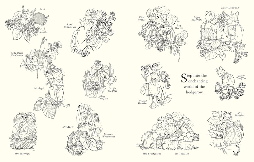 Sample content_Brambly Hedge: Festive Colouring Book
