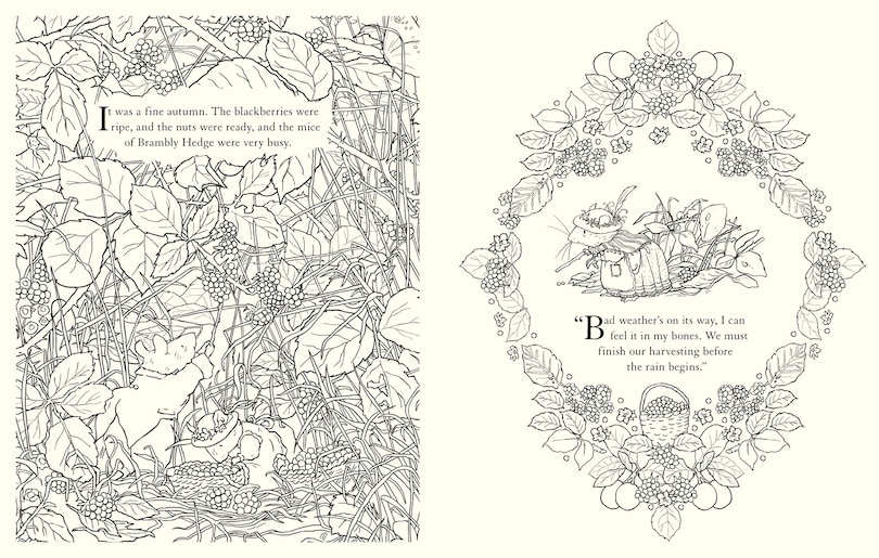 Sample content 2_Brambly Hedge: Festive Colouring Book