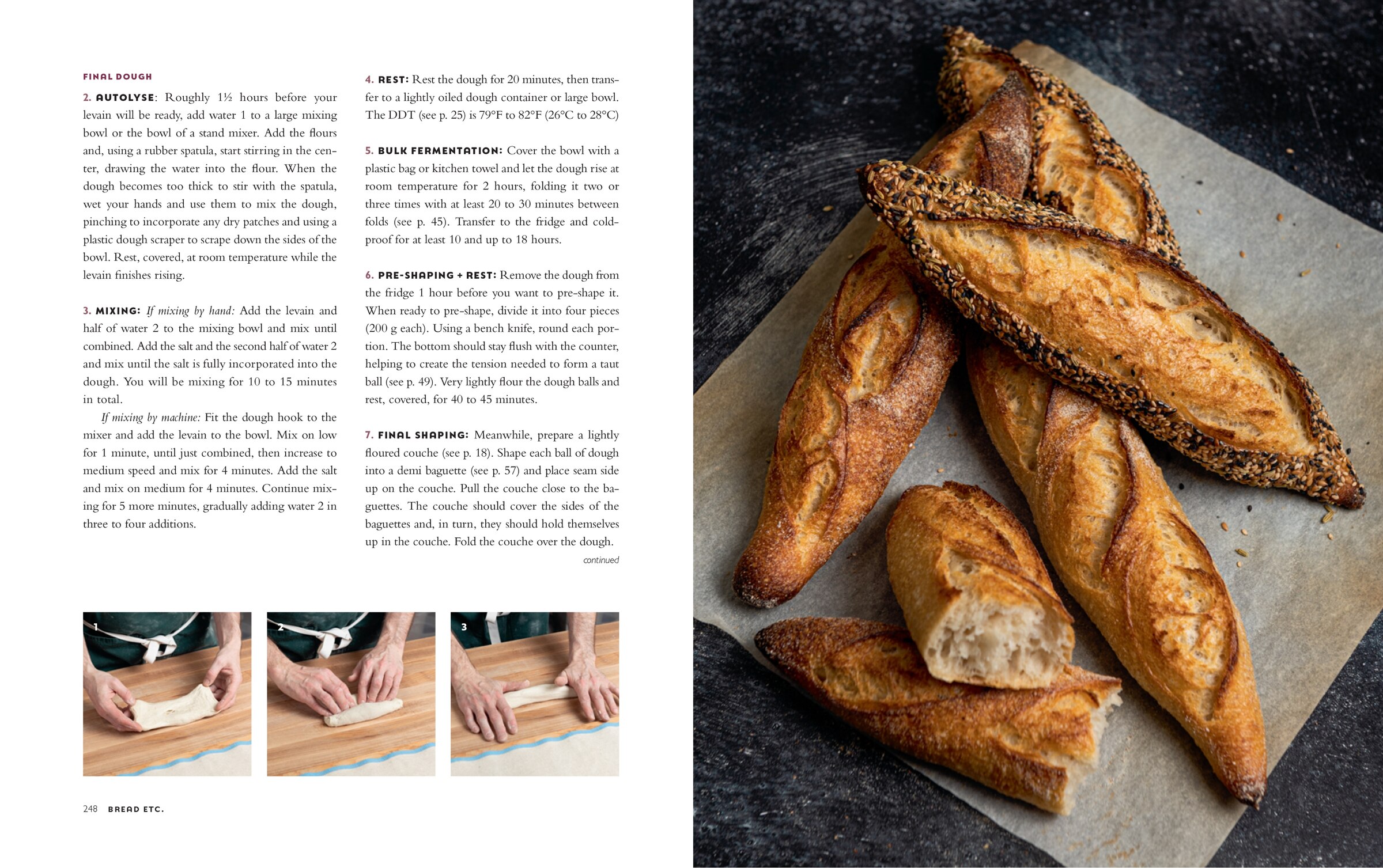 Bread Etc.: Recipes + Techniques For Baking With Sourdough