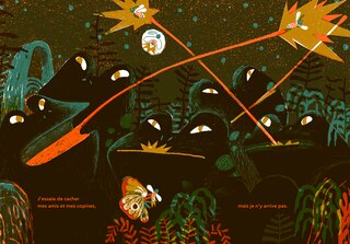 Sample content 4_BRILLE !