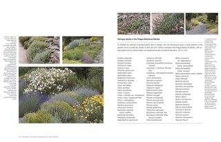 Aperçu du contenu_Bringing The Mediterranean Into Your Garden