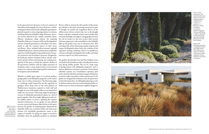 Aperçu du contenu 2_Bringing The Mediterranean Into Your Garden