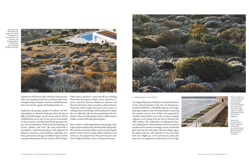 Aperçu du contenu 4_Bringing The Mediterranean Into Your Garden