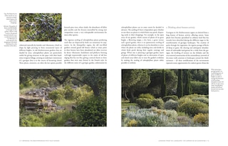 Aperçu du contenu 5_Bringing The Mediterranean Into Your Garden