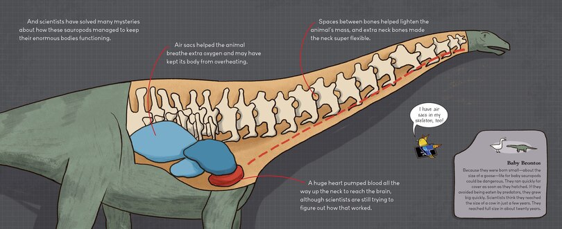 Sample content 2_Brontosaurus Is Back!