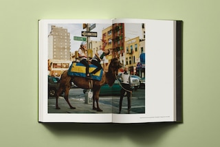 Sample content 4_Bruce Weber. My Education