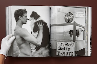 Sample content_Bruce Weber. The Golden Retriever Photographic Society