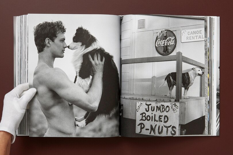 Sample content_Bruce Weber. The Golden Retriever Photographic Society